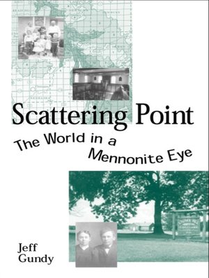 cover image of Scattering Point